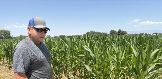 With fields already fallow, Uncompahgre Valley growers adapt to a drier future