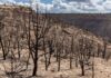 Photos: Ferris Fire, September 2026