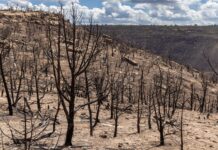 Photos: Ferris Fire, September 2026