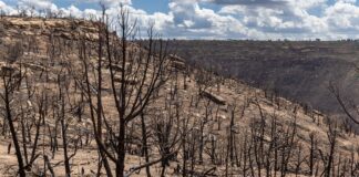 Photos: Ferris Fire, September 2026