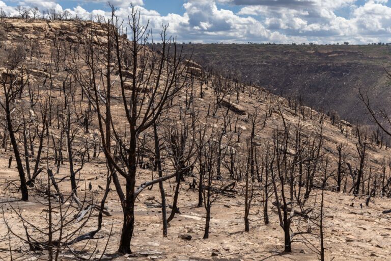 Photos: Ferris Fire, September 2026
