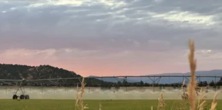 State water board green lights conservation program