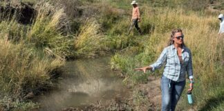 A new legal path for stream restoration in Colorado runs into old water conflicts