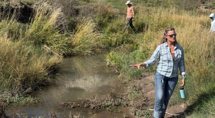 A new legal path for stream restoration in Colorado runs into old water conflicts