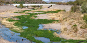 Once a ribbon of life flowing north from Mexico, the Santa Cruz River is now largely dry as it runs through Tucson, Arizona. ©Ted Wood Usage rights are granted for editorial and nonprofit purposes only. No commercial or re-sale rights are granted without permission of the photographer.