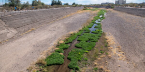 Once a ribbon of life flowing north from Mexico, the Santa Cruz River is now largely dry as it runs through Tucson, Arizona. ©Ted Wood Usage rights are granted for editorial and nonprofit purposes only. No commercial or re-sale rights are granted without permission of the photographer.