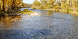 Aerial view of the Colorado River, near Parshall, Colorado in September 2020. Photo by Mitch Tobin, The Water Desk.