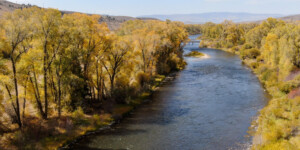 Aerial view of the Colorado River, near Parshall, Colorado in September 2020. Photo by Mitch Tobin, The Water Desk.