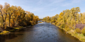 Aerial view of the Colorado River, near Parshall, Colorado in September 2020. Photo by Mitch Tobin, The Water Desk.