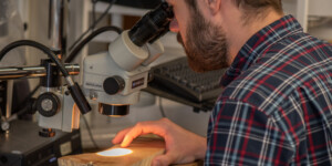William Tintor studies tree rings from the Colorado River Basin at the University of Arizona Laboratory of Tree-Ring Research.