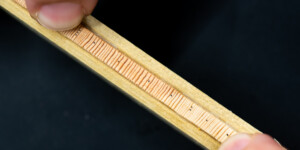 The tree ring core from a Douglas fir in Colorado that was used to determine the wetness of the years when the Colorado River Compact was signed in 1922. From the first dot in from of finger (left) to the third dot represents 1910-1930. The width of the tree rings show how wet the year was.