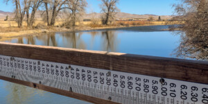The Rio Grande near Del Norte, Colorado on April 1, 2021. Photo by Mitch Tobin, The Water Desk