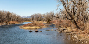 The Rio Grande near Del Norte, Colorado on April 1, 2021. Photo by Mitch Tobin, The Water Desk
