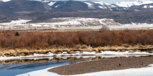 The Rio Grande near its headwaters in southern Colorado on April 1, 2021. Photo by Mitch Tobin, The Water Desk