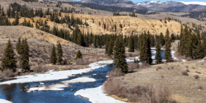 The Rio Grande near its headwaters in southern Colorado on April 1, 2021. Photo by Mitch Tobin, The Water Desk