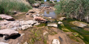 Low water levels in the Virgin River in St. George are a concern especially for the endangered fish living in this section.