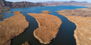 The Bill Williams Rivre flows through Arizona into Lake Havasu just above the Parker Dam. Its lower section to the cofluence with the lake is a national wildlife refuge.
