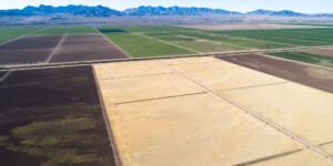 The Colorado River Indian tribe has large CO River water rights and much of the reservation is under hay production.