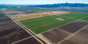 The Colorado River Indian tribe has large CO River water rights and much of the reservation is under hay production.