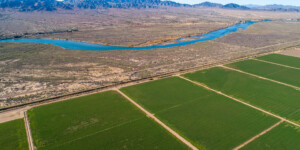The Colorado River Indian tribe has large CO River water rights and much of the reservation is under hay production.