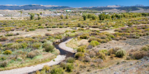 The Fraser River near Granby is severely impacted by Denver Water diversions. At times it's so low it can't support aquatic life.