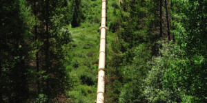 Water along the western slope of the Fraser Valley is collected by Denver Water and transported to the Front Range. Many of the streams have been de-watered.