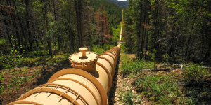 Water along the western slope of the Fraser Valley is collected by Denver Water and transported to the Front Range. Many of the streams have been de-watered.