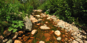 Water along the western slope of the Fraser Valley is collected by Denver Water and transported to the Front Range. Many of the streams have been de-watered.