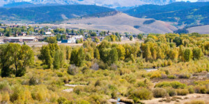 The Fraser River near Granby is severely impacted by Denver Water diversions. At times it's so low it can't support aquatic life.