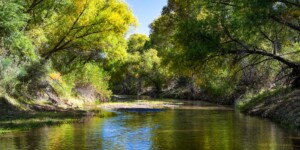 The Gila River flows throught the Gila Box Riparian National Conservation Area, east of Safford, AZ.