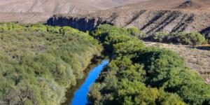 The Gila River flows throught the Gila Box Riparian National Conservation Area, east of Safford, AZ.
