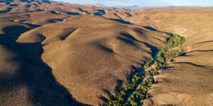 The Gila River flows throught the Gila Box Riparian National Conservation Area, east of Safford, AZ.