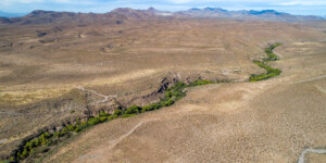 The Gila River flows throught the Gila Box Riparian National Conservation Area, east of Safford, AZ.