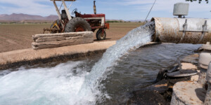 The farmers in Safford, AZ, use groundwater near the Gila River to irrigate their pastures. The Gila River Indians want to limit this use as it dewaters the river and endangers the tribe's water allotment.