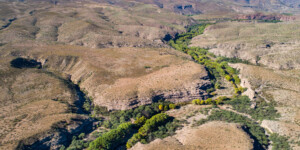 The Gila River flows throught the Gila Box Riparian National Conservation Area, east of Safford, AZ.