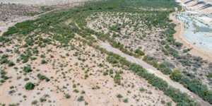 What's left of the Gila and San Pedro rivers join in Winkleman, AZ. The rivers are bordered on both sides by tailings piles from copper mines.
