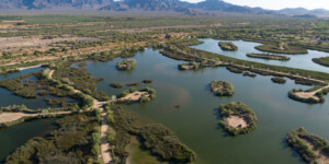 Tres Rios Wetlands uses treated city waste water from a nearby plant to create a wetland for wildlife and further water treatment.