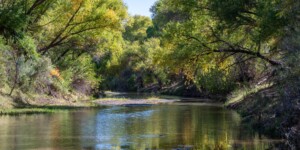 The Gila River flows throught the Gila Box Riparian National Conservation Area, east of Safford, AZ.