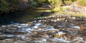 The Gila River flows throught the Gila Box Riparian National Conservation Area, east of Safford, AZ.