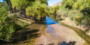 The Gila River flows throught the Gila Box Riparian National Conservation Area, east of Safford, AZ.