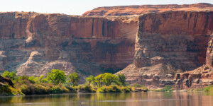 Canoeing Labyrinth Canyon of the Green River, between Green River and Canyonlands National Park.