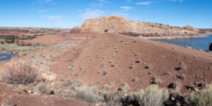 Lyman Lake, AZ, stores water from the Little Colorado River near its headwaters for use by downstream farmers and the Zuni Tribe. In 2021, the lake is 30 ft. below full. The earthen dam and outlet of the river.