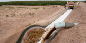 Agriculture in Pinal County uses effluent from a dairy operation for crop irrigation.