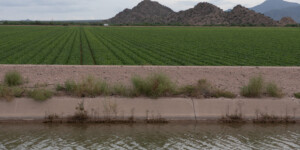 Ag in Pinal County uses Central Arizona Project water and ground water.