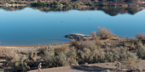 Senator Wash is an off-streaming storage facility above the Imperial Dam meant to regulate the flow of the All American Canal downstream.