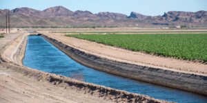 The Dome Valley, east of Yuma, AZ, is known for its winter lettuce and kale crops.  It's made fertile by the Gila Canal, supplying Colorado River water from the Imperial Dam.