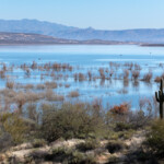 Roosevelt Lake, AZ, stores water from the Salt River for use in the Phoenix area.