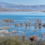Roosevelt Lake, AZ, stores water from the Salt River for use in the Phoenix area.