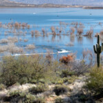 Roosevelt Lake, AZ, stores water from the Salt River for use in the Phoenix area.