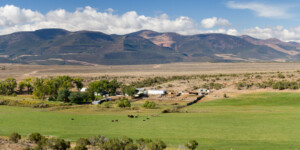Irrigated farmland on the Green River south of Dutch John near the CO border.